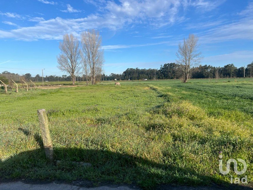 Terreno em Beduído e Veiros de 1 720 m²