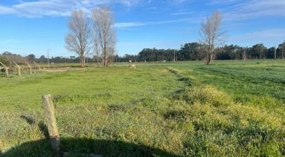 Terrain à Beduído e Veiros de 1 720 m²