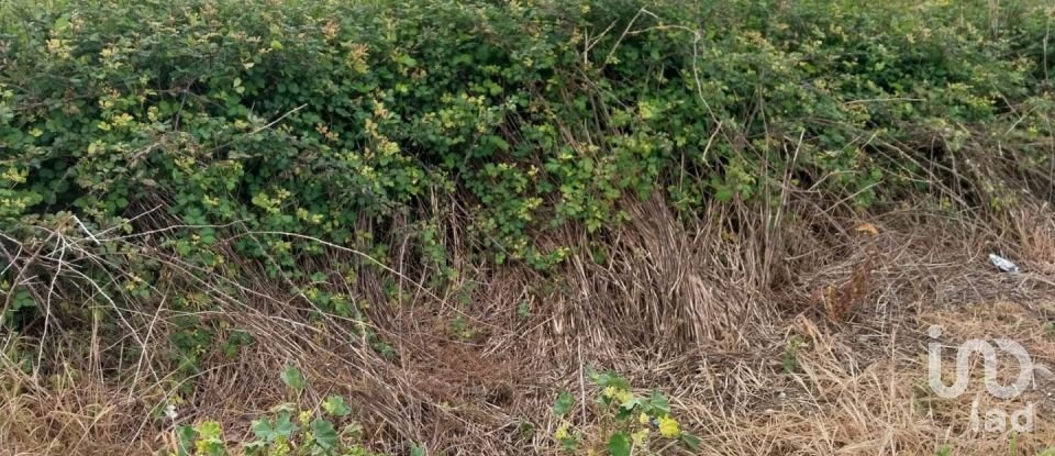 Terrain à bâtir à Argoncilhe de 769 m²