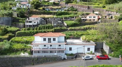 Gîte T4 à Arco da Calheta de 261 m²