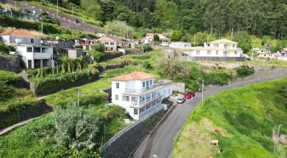 Gîte T4 à Arco da Calheta de 261 m²