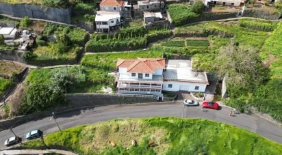 Gîte T4 à Arco da Calheta de 261 m²