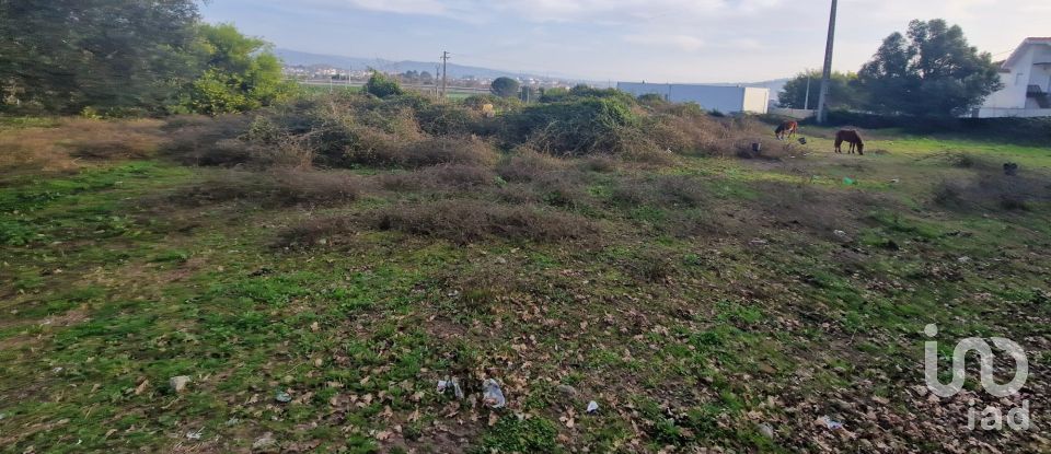 Terreno urbano em Viana do Castelo (Santa Maria Maior e Monserrate) e Meadela de 8 280 m²