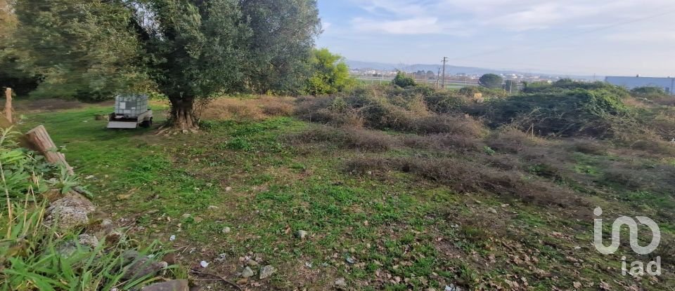 Terreno urbano em Viana do Castelo (Santa Maria Maior e Monserrate) e Meadela de 8 280 m²