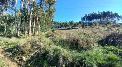 Terrain à Vilar de 21 640 m²