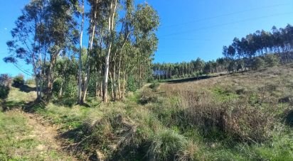 Terrain à Vilar de 21 640 m²