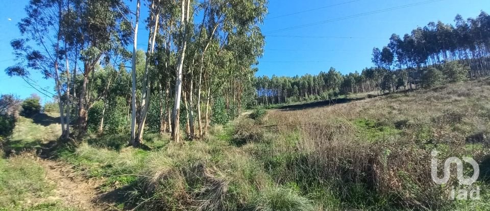 Terrain à Vilar de 21 640 m²