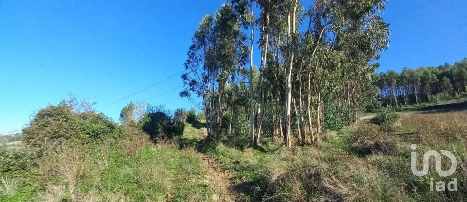 Terrain à Vilar de 21 640 m²