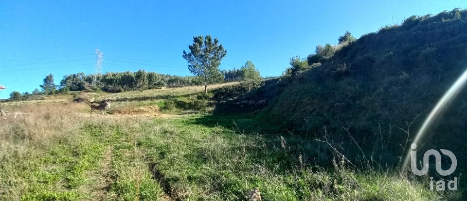 Terrain à Vilar de 21 640 m²