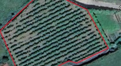 Terrain à Prado e Remoães de 4 100 m²