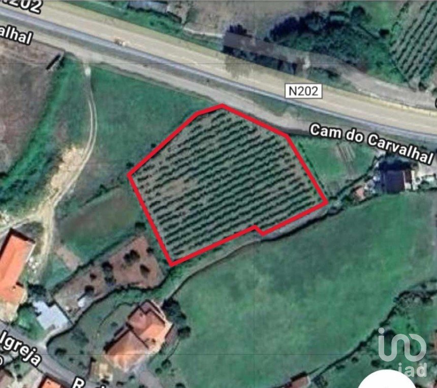 Terreno em Prado e Remoães de 4 100 m²