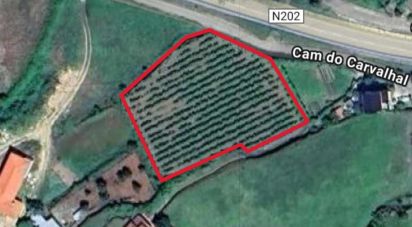 Terrain à Prado e Remoães de 4 100 m²