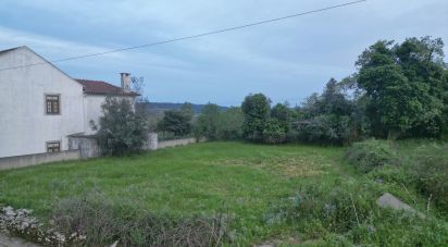 Terrain à bâtir à Cumeeira de 450 m²