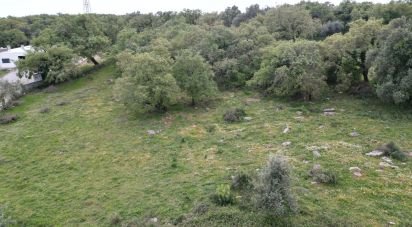 Terrain à bâtir à Cumeeira de 1 480 m²