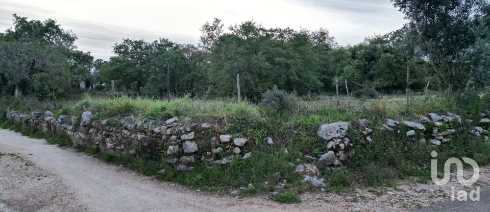 Terrain à bâtir à Cumeeira de 1 480 m²