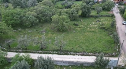 Terrain à bâtir à Cumeeira de 1 480 m²