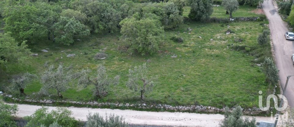 Terrain à bâtir à Cumeeira de 1 480 m²