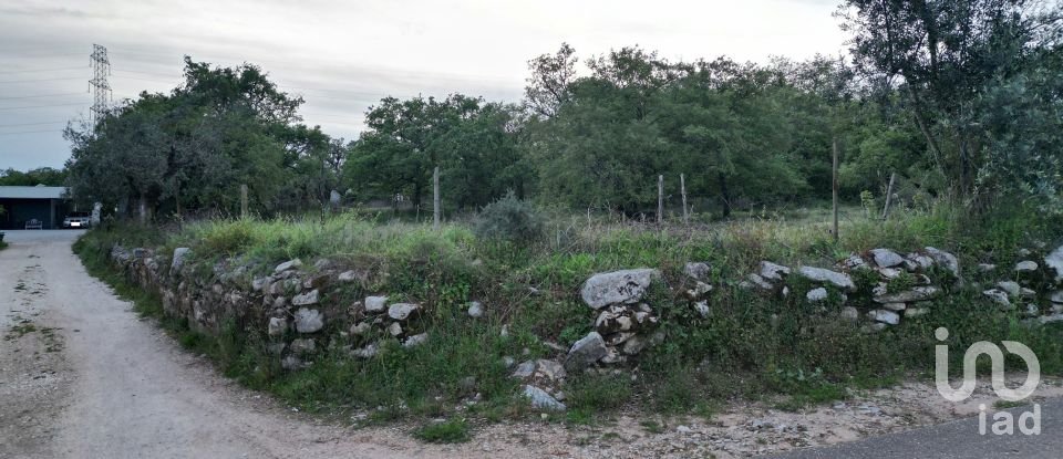 Terrain à bâtir à Cumeeira de 1 480 m²