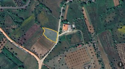 Farm land in Alvorge of 1,250 m²