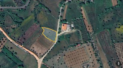 Terrain agricole à Alvorge de 1 250 m²