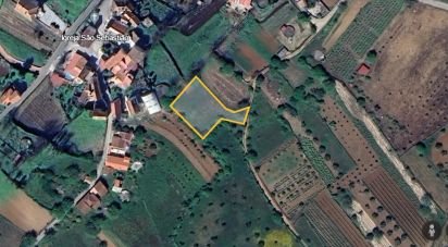 Terrain agricole à São Miguel, Santa Eufémia e Rabaçal de 1 350 m²