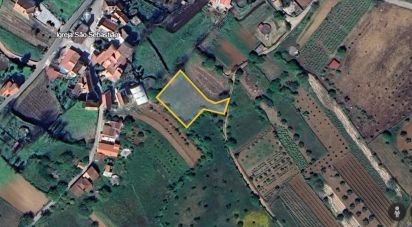 Terreno Agrícola em São Miguel, Santa Eufémia e Rabaçal de 1 350 m²