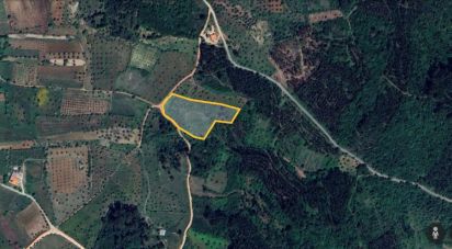 Terrain agricole à São Miguel, Santa Eufémia e Rabaçal de 7 714 m²