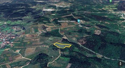 Terrain agricole à São Miguel, Santa Eufémia e Rabaçal de 7 714 m²