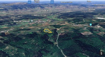 Terrain agricole à São Miguel, Santa Eufémia e Rabaçal de 7 714 m²