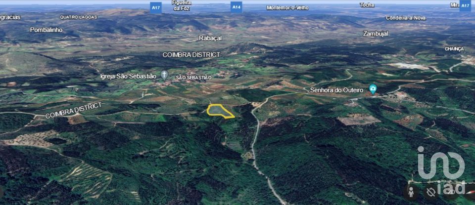 Terrain agricole à São Miguel, Santa Eufémia e Rabaçal de 7 714 m²