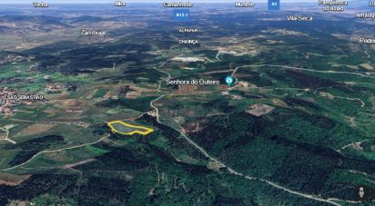 Terrain agricole à São Miguel, Santa Eufémia e Rabaçal de 7 714 m²