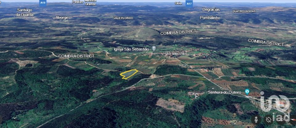 Terrain agricole à São Miguel, Santa Eufémia e Rabaçal de 7 714 m²