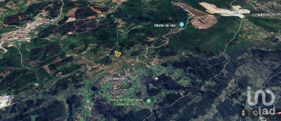 Terrain agricole à São Miguel, Santa Eufémia e Rabaçal de 7 714 m²