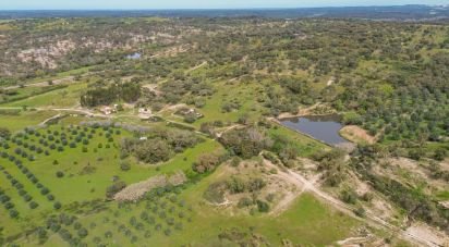 Farm T12 in Aldeia Velha of 694 m²