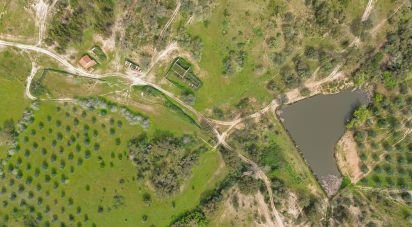 Farm T12 in Aldeia Velha of 694 m²