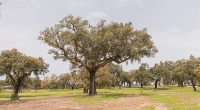 Farm T12 in Aldeia Velha of 694 m²