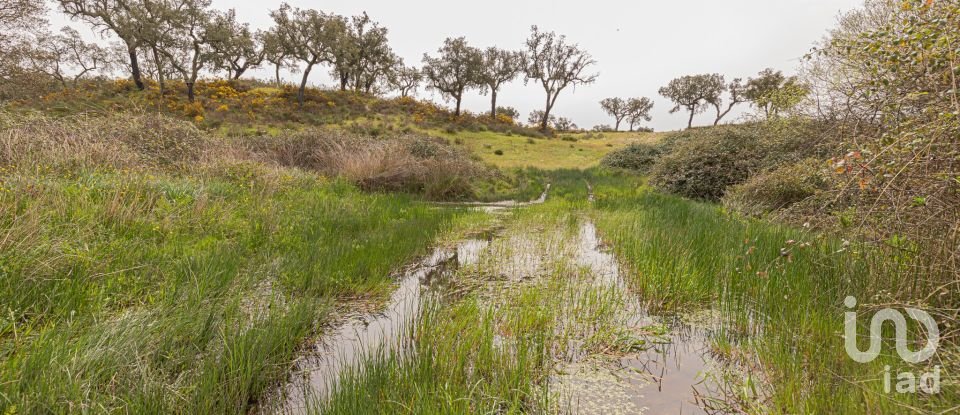 Quinta T12 em Aldeia Velha de 694 m²