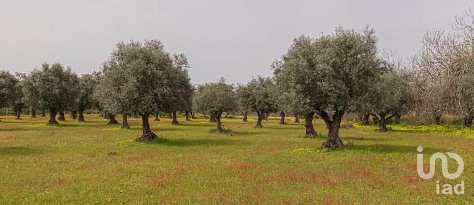 Quinta T12 em Aldeia Velha de 694 m²