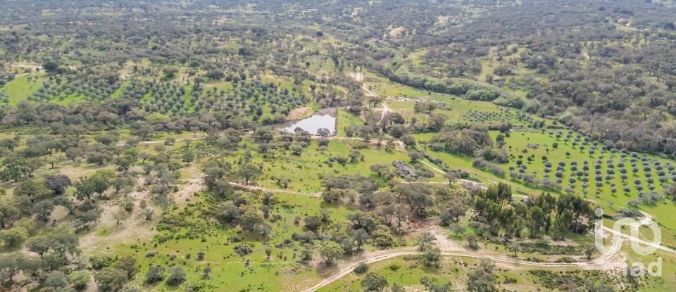 Quinta T12 em Aldeia Velha de 694 m²