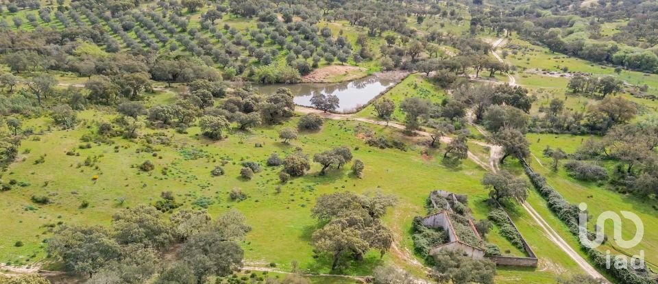 Quinta T12 em Aldeia Velha de 694 m²