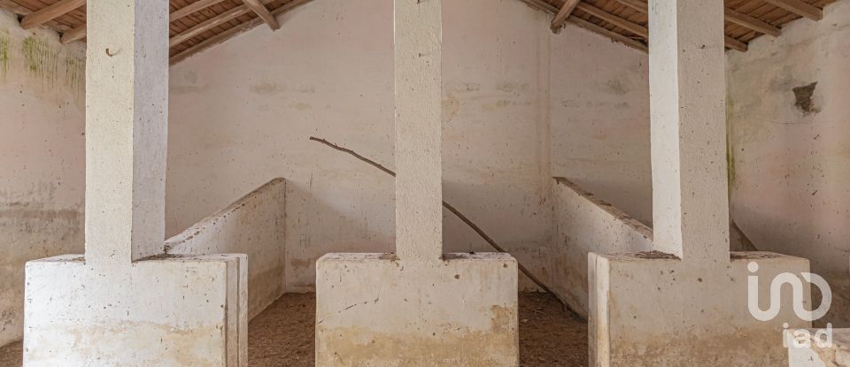 Quinta T12 em Aldeia Velha de 694 m²