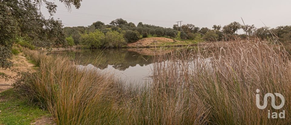 Quinta T12 em Aldeia Velha de 694 m²