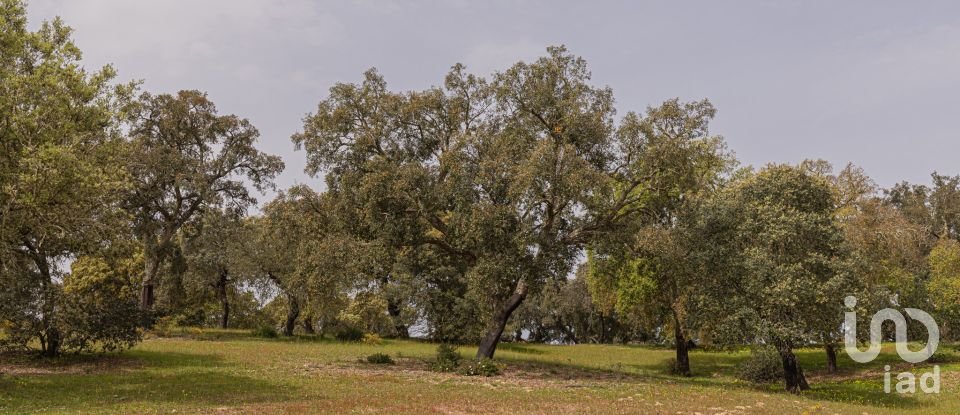 Quinta T12 em Aldeia Velha de 694 m²