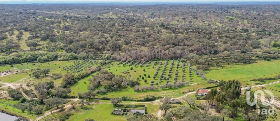 Quinta T12 em Aldeia Velha de 694 m²