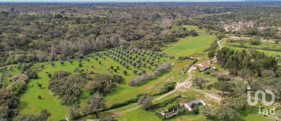 Quinta T12 em Aldeia Velha de 694 m²