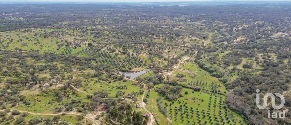 Quinta T12 em Aldeia Velha de 694 m²