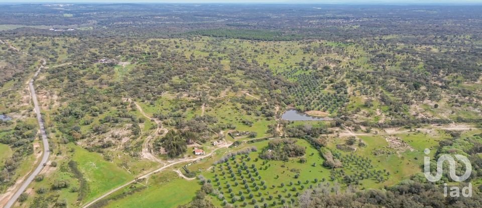 Quinta T12 em Aldeia Velha de 694 m²