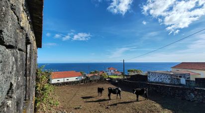 Maison rustique T0 à Ribeiras de 70 m²
