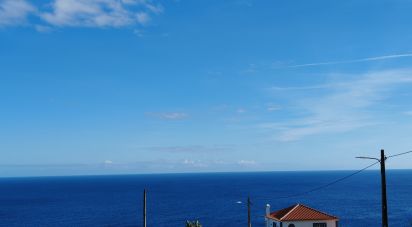 Maison rustique T0 à Ribeiras de 70 m²