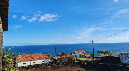 Maison rustique T0 à Ribeiras de 70 m²